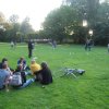 Onze activiteiten » Kubb in het park